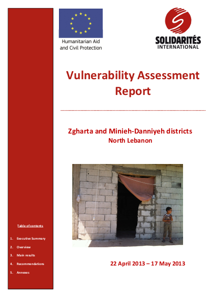 102 130521 vulnerabilityassessmentreport web si leb png