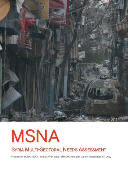 141028 syria msna report final png