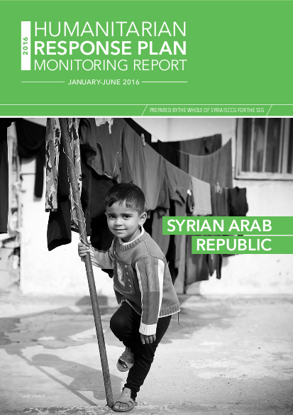 2016 syria hrp monitoring report png