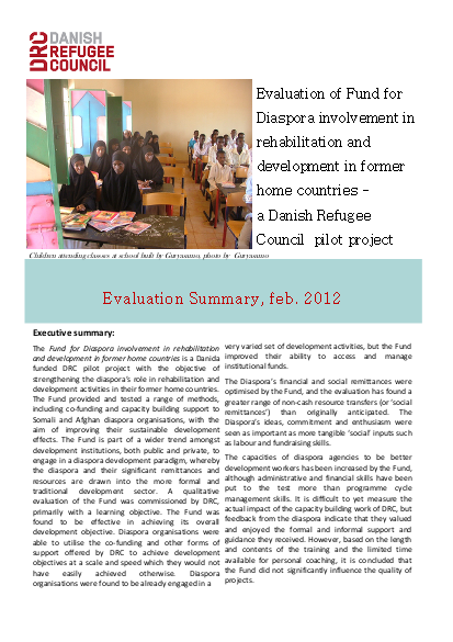 31092012 diaspora evaluation summary png