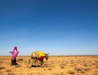 A pastoralist walks home with her donkey after collecting water at the UNDP-funded dam in Baligubadle, Somaliland, northwest Somalia.
