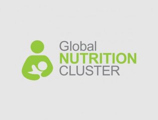 Global Nutrition Cluster Help Desk logo