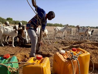 Ménaka Region, Tassassat village. A man draws water.