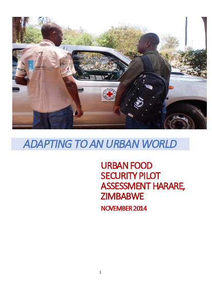 Adapting to an urban world harare report png