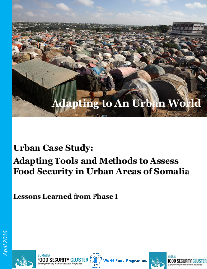 Adapting to an urban world somalia urban assessment report somalia fsc png