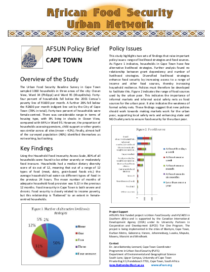 Afsun policy briefs cape town%2C 26 may 2009 png