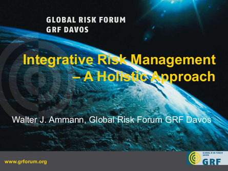 Ammann integrative risk management png