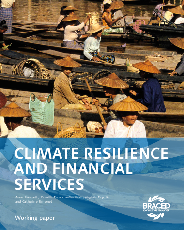 Climate resilience and financial services png