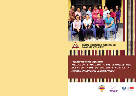 Demus peru report on violence against women support services png