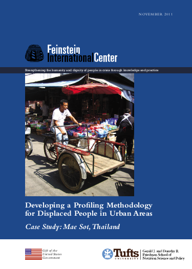 Developing a Profiling Methodology for Displaced People in Urban Areas ...