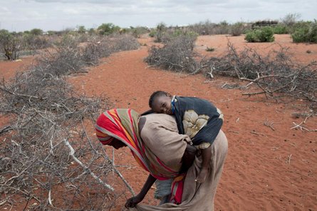 Drought east africa child mother humanitarian emergency jpg