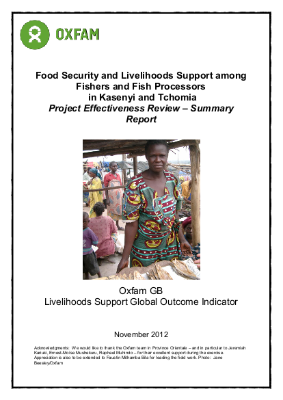 Er food security drc effectiveness review 020413 summ report en png