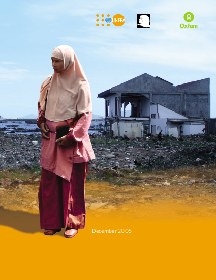 Gender changes tsunami affected villages nanggroe aceh darussalan province 011205 en png