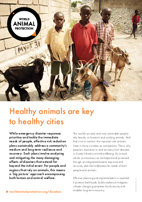 Gfsc good practice urban case study world animal protection haiti png