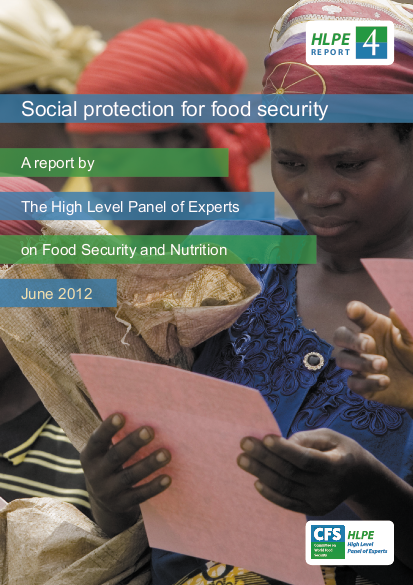 Hlpe report 4 social protection for food security june 2012 png