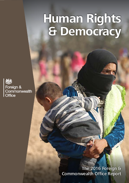 Human rights and democracy report 2016 accessible 0 png