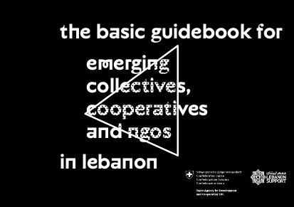 Lebanonsupport basicguidebook ngos en png