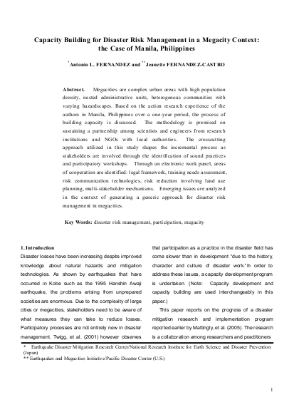 Mm capacity building megacities mm case png