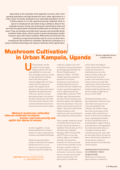 Mushroom cultivation in kampala png