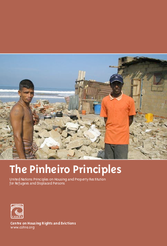 Pinheiro principles un housing png