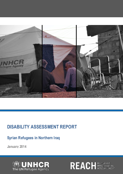 Reach unhcr disability assessment report january 2014 png