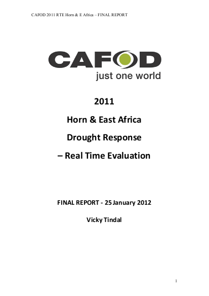 Rte horn e africa full report png