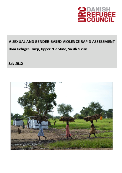 Sexual gender based violence south sudan png