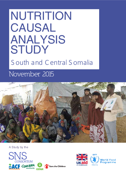 Somalia nutrition causal analysis png