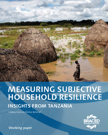 Subjective resilience tanzania png