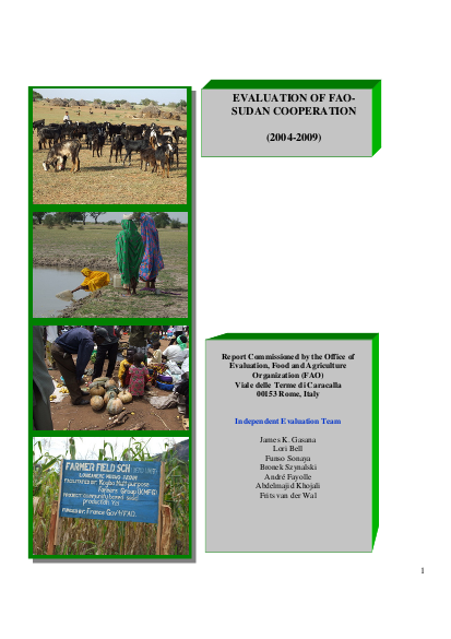 Sudan ce report final 4mar10 png