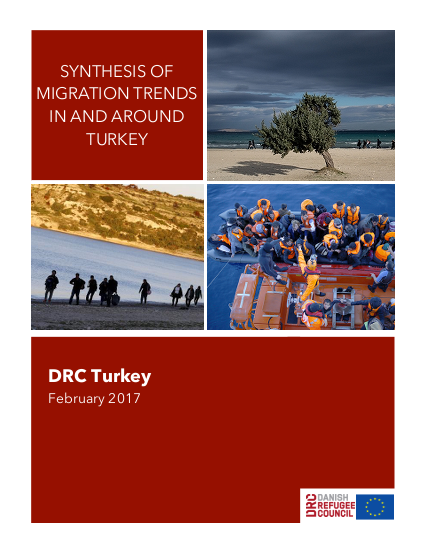 Synthesis of mixed migration trends in and around turkey february 2017 png