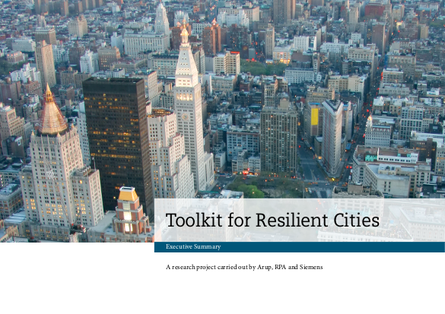 Toolkit for resilient cities summary png