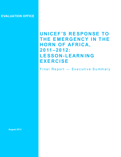 Unicef hoa lle executive summary final png