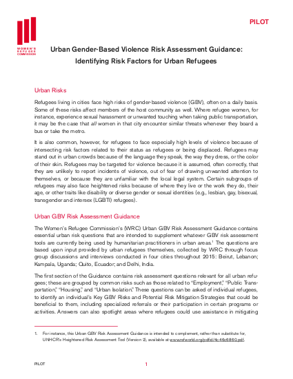 Identifying Gender Risk Urban Gender-Based Violence Risk Assessment Guidance: Identifying Risk ...